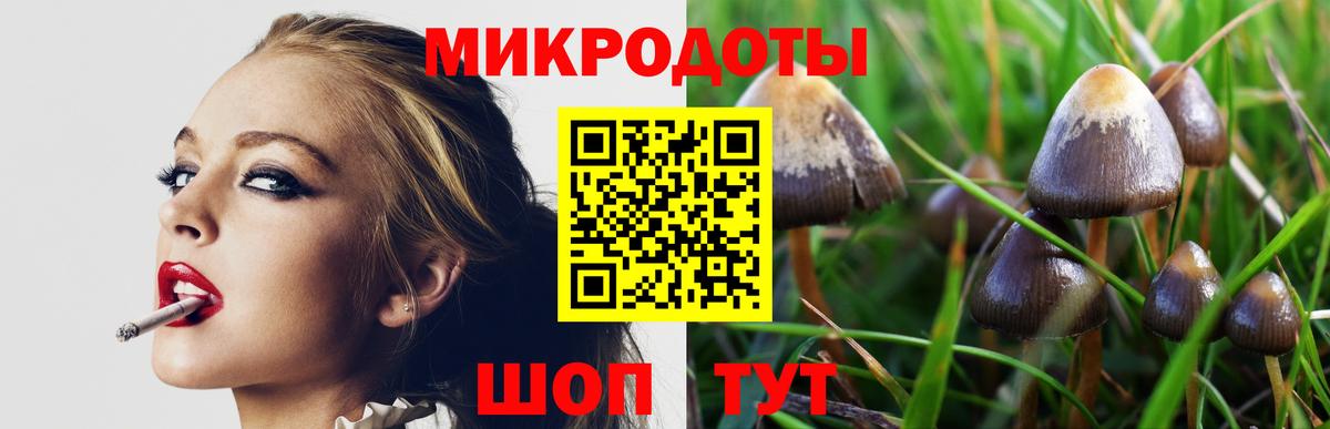 Псилоцибиновые грибы ЛСД  Вход с VPN  Азнакаево 