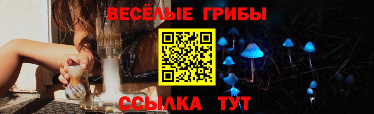 Псилоцибиновые грибы мухоморы Азнакаево